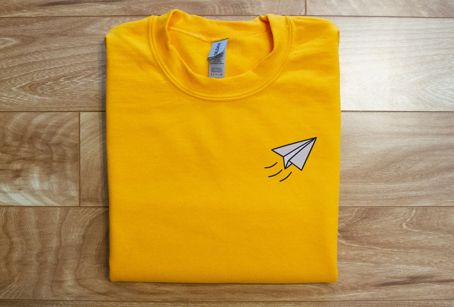 Paper Airplane